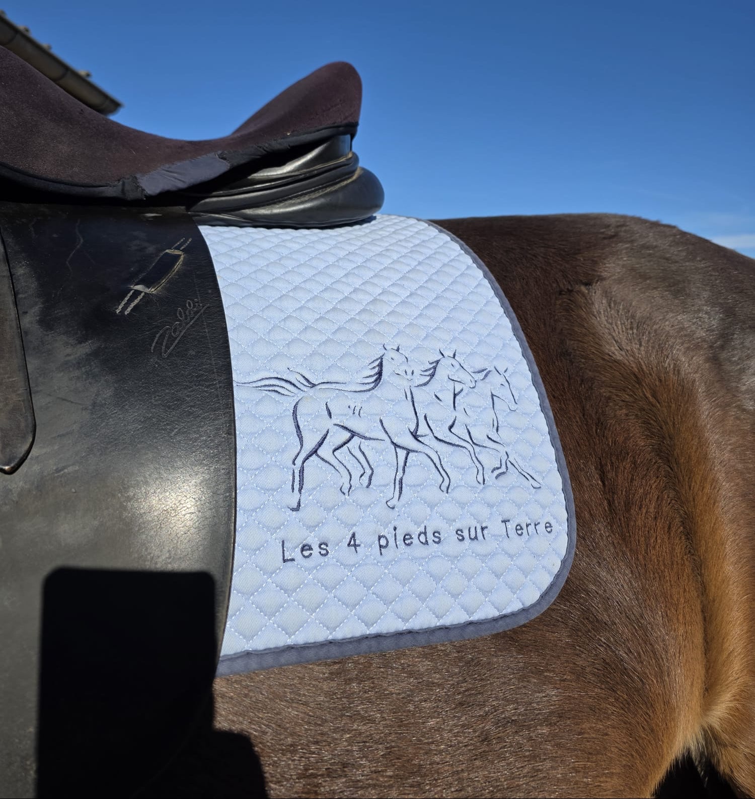 Broderie sur tapis de selle
