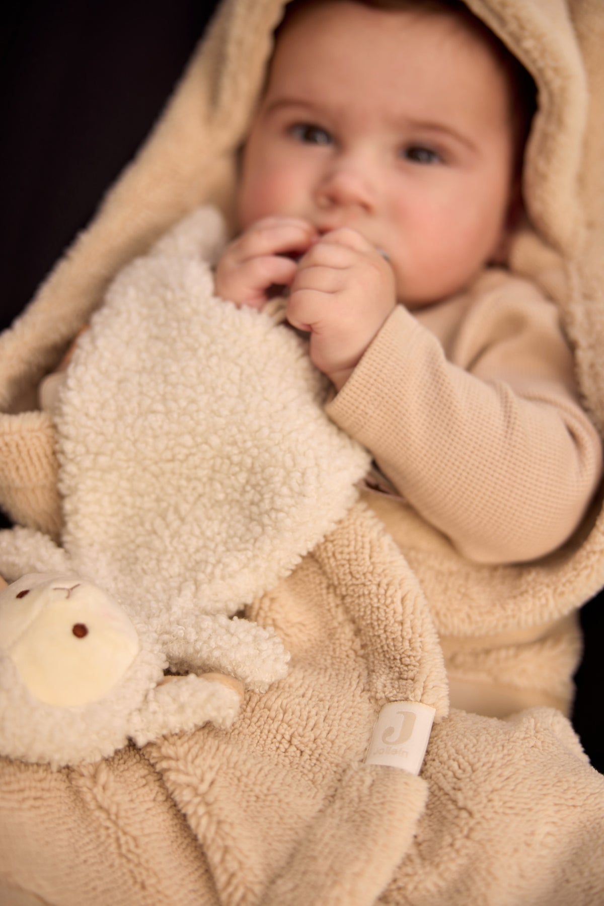 Attache sucette Sheep Sonny | Jollein