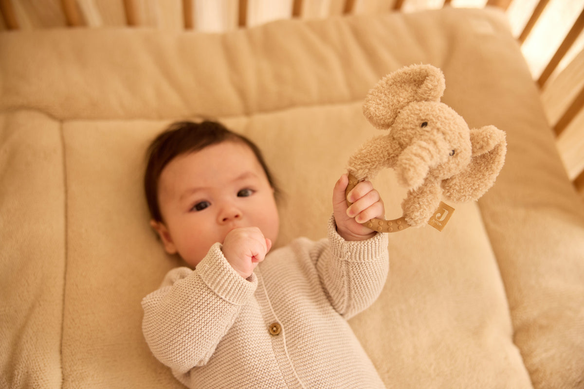 Anneau de Dentition Bébé Jollies | Jollein